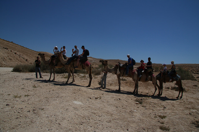 Description: Description: camel riding