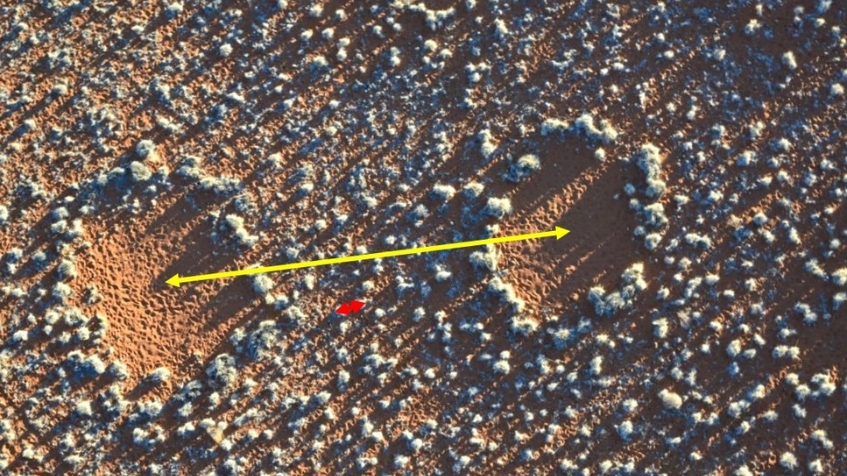 תמונת עיגולי פיות בשמורת נמיברנד בנמיביה בעונה יבשה. הדפוס מתאפיין בשתי סקלות אורך שונות המודגמות על ידי החץ הצהוב והחץ האדום. | צילום: פרופ' חזי יצחק